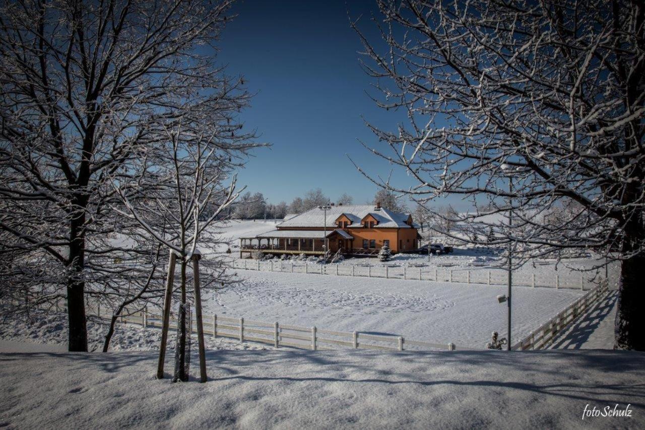 Hotel Horse Riding - Jezdecky Areal Tršice Exterior foto