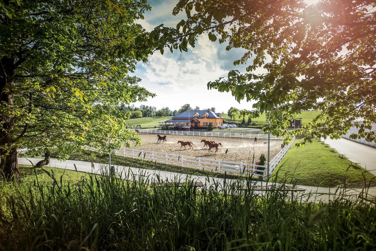 Hotel Horse Riding - Jezdecky Areal Tršice Exterior foto