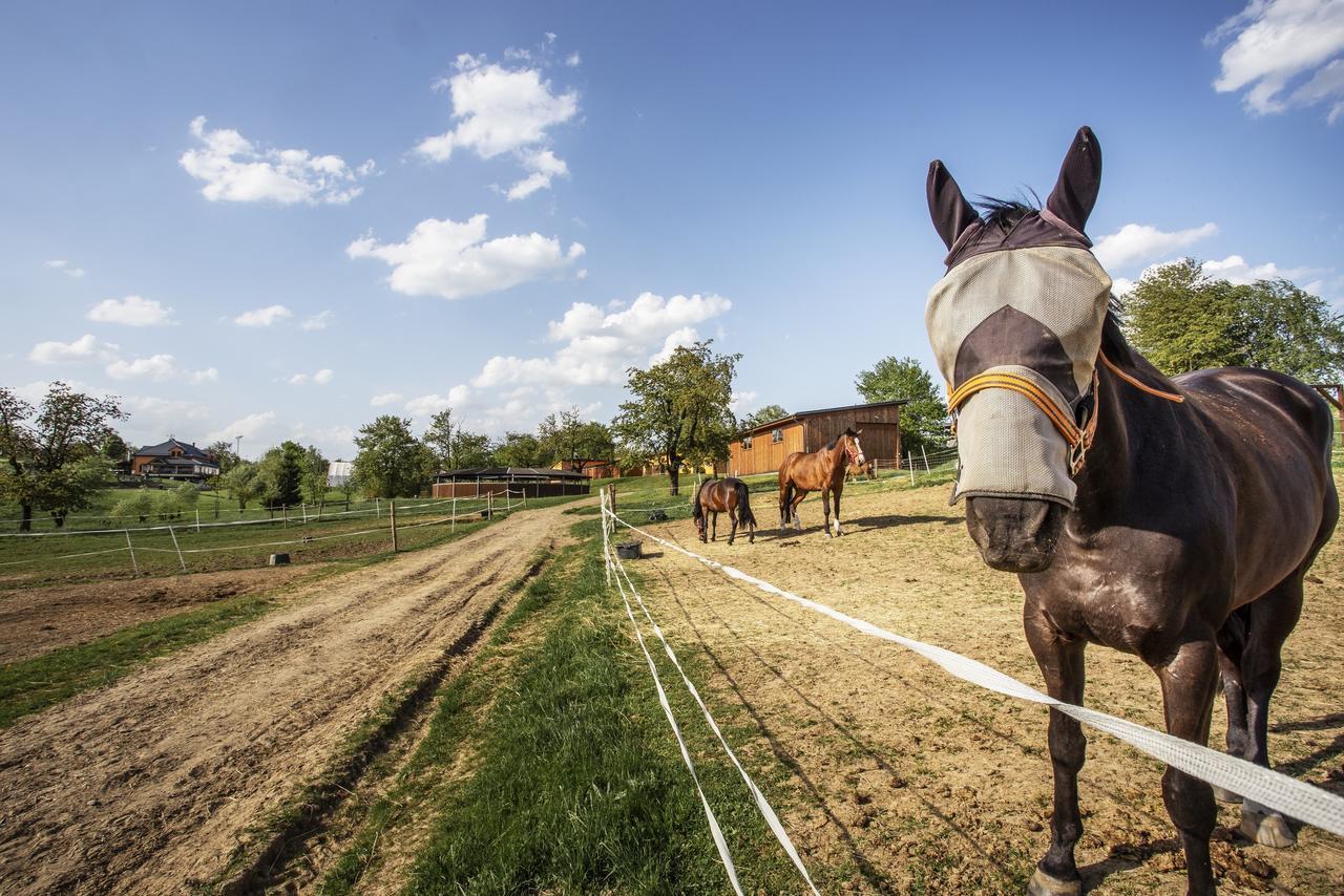 Hotel Horse Riding - Jezdecky Areal Tršice Exterior foto